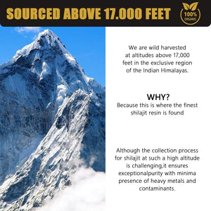 Himalayan Shilajit