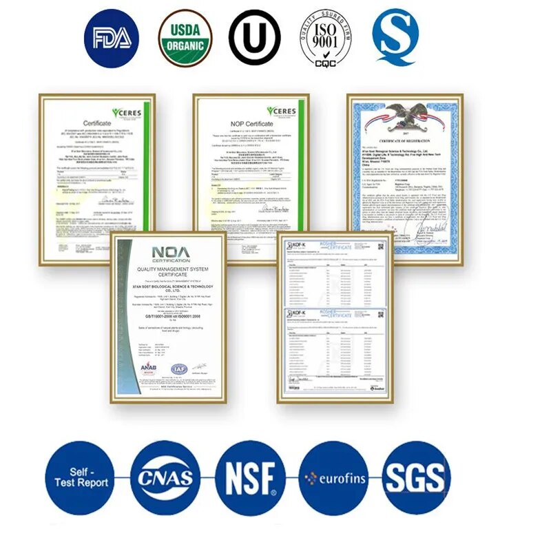 Organic Moringa Powder