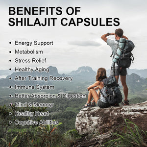 Shilajit Capsules