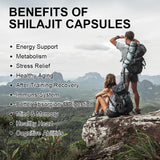 Shilajit Capsules