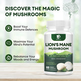 Lion's Mane Mushroom Capsules