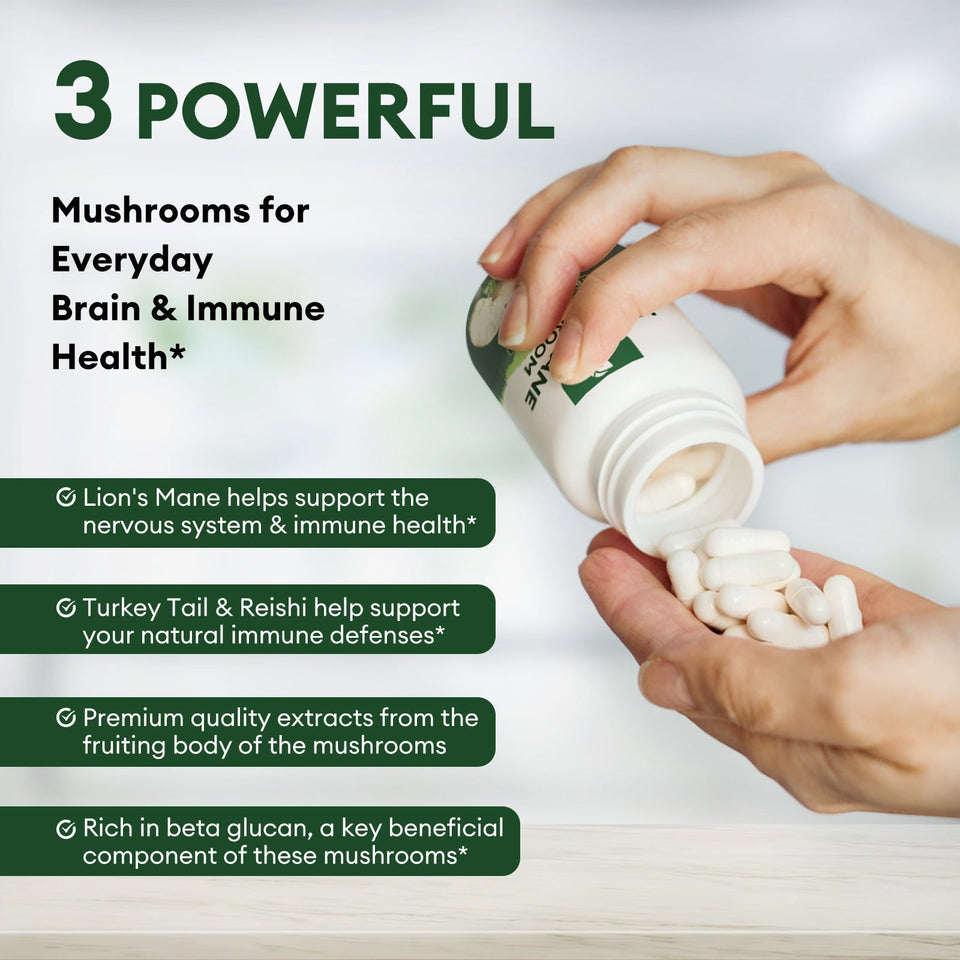 Lion's Mane Mushroom Capsules