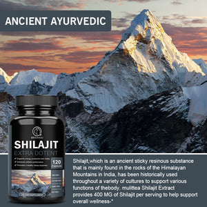 Shilajit Capsules